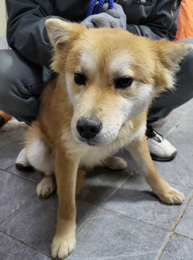 이성준동물병원_441408202400167